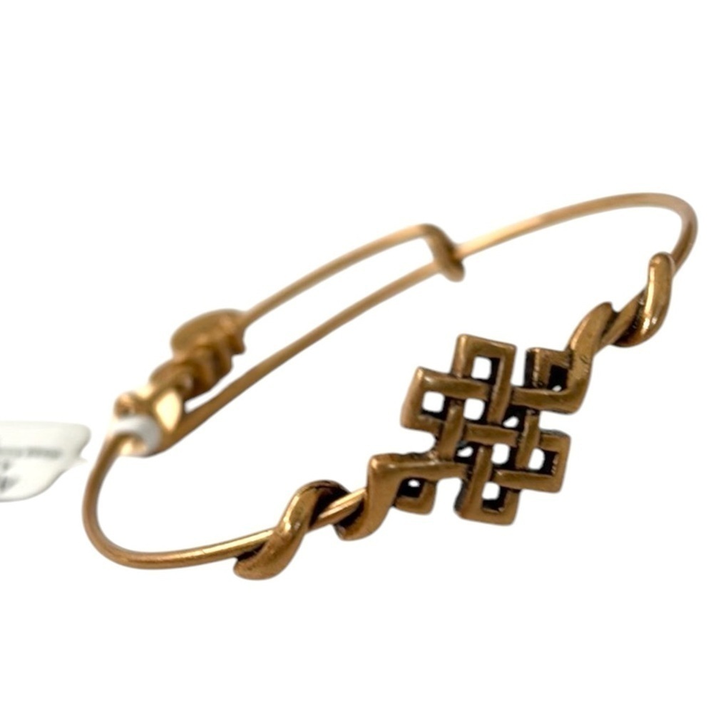 NWT Alex And Ani Endless Knot Rafaelian Good Finisj Bracelet